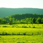 30. Powells Crossroads, Tennessee