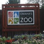 4. Omaha’s Henry Doorly Zoo and Aquarium – Nebraska