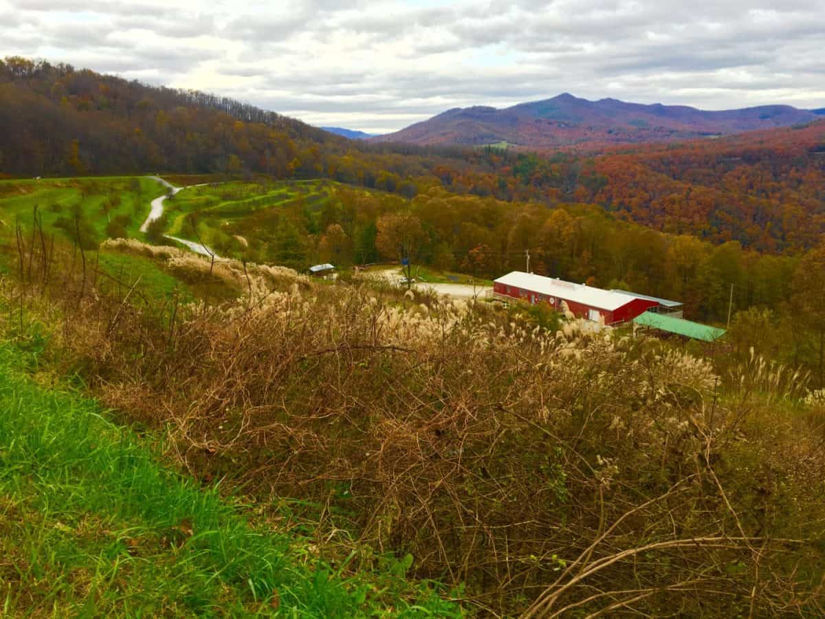 Blue Ridge Parkway - Marion, NC (Red Farm House in Fall)