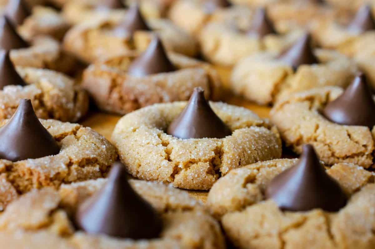 Peanutbutter blossom cookies on cutting board, macro view of rows of cookies