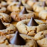 Peanut Blossoms