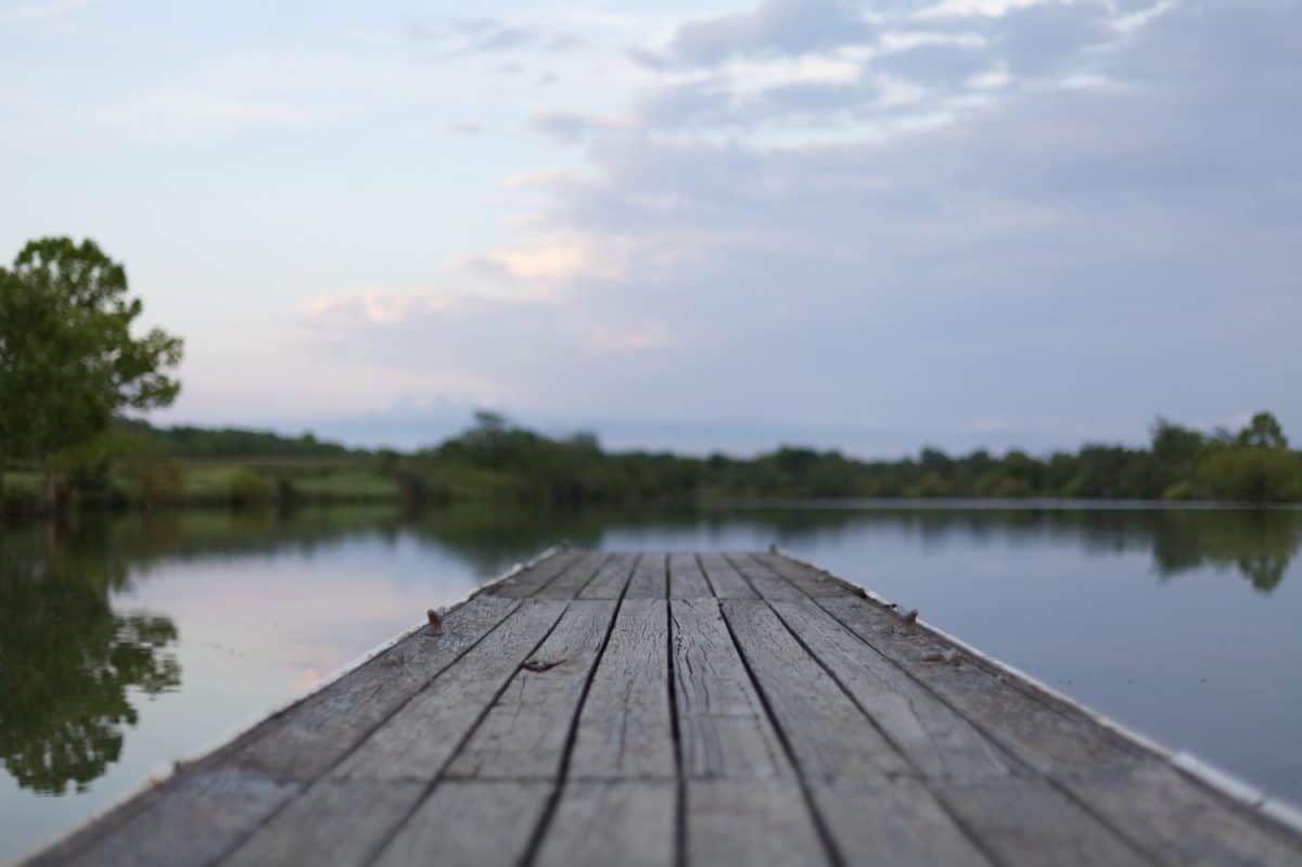 Dock at a fishing pond in Illinois. Focus is on the foreground while the background is out of focus.