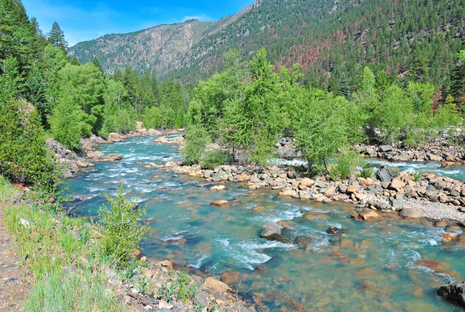 River in the Rocky Mountains