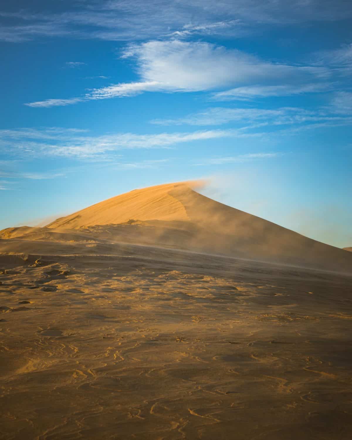 Windswept Sand Dunes at Hanford Reach National Monument