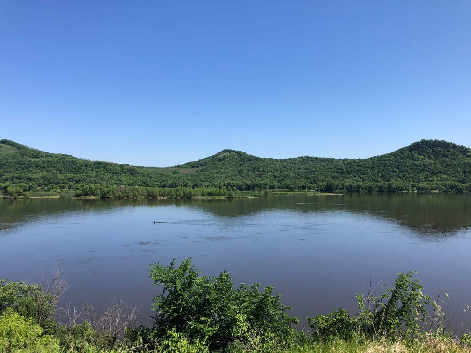 June Morning Upper Mississippi River National Wildlife and Fish Refuge Minnesota