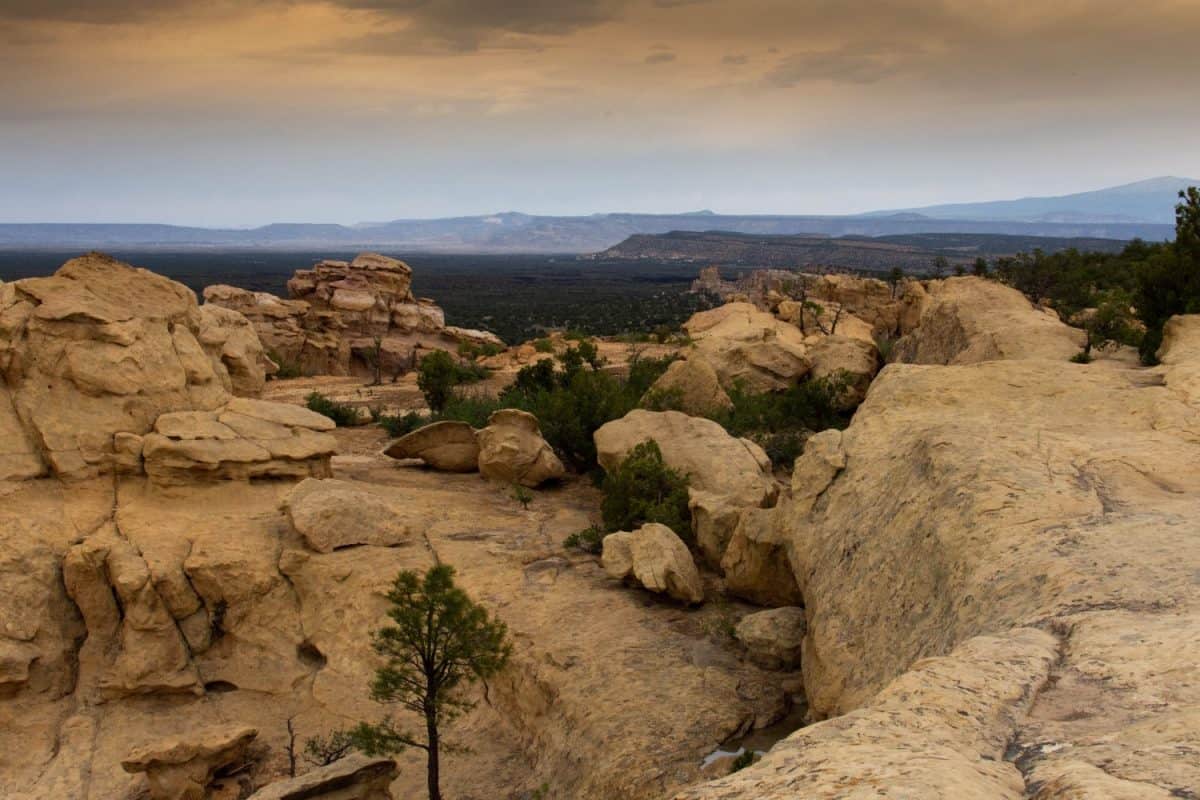 El Malpais National Monument Overlook Grants New Mexico