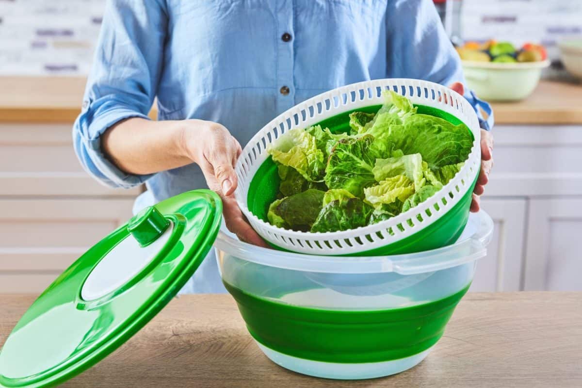 Anonymous woman in blue shirt removing bowl with fresh lettuce from spinner while cooking healthy food in kitchen at home