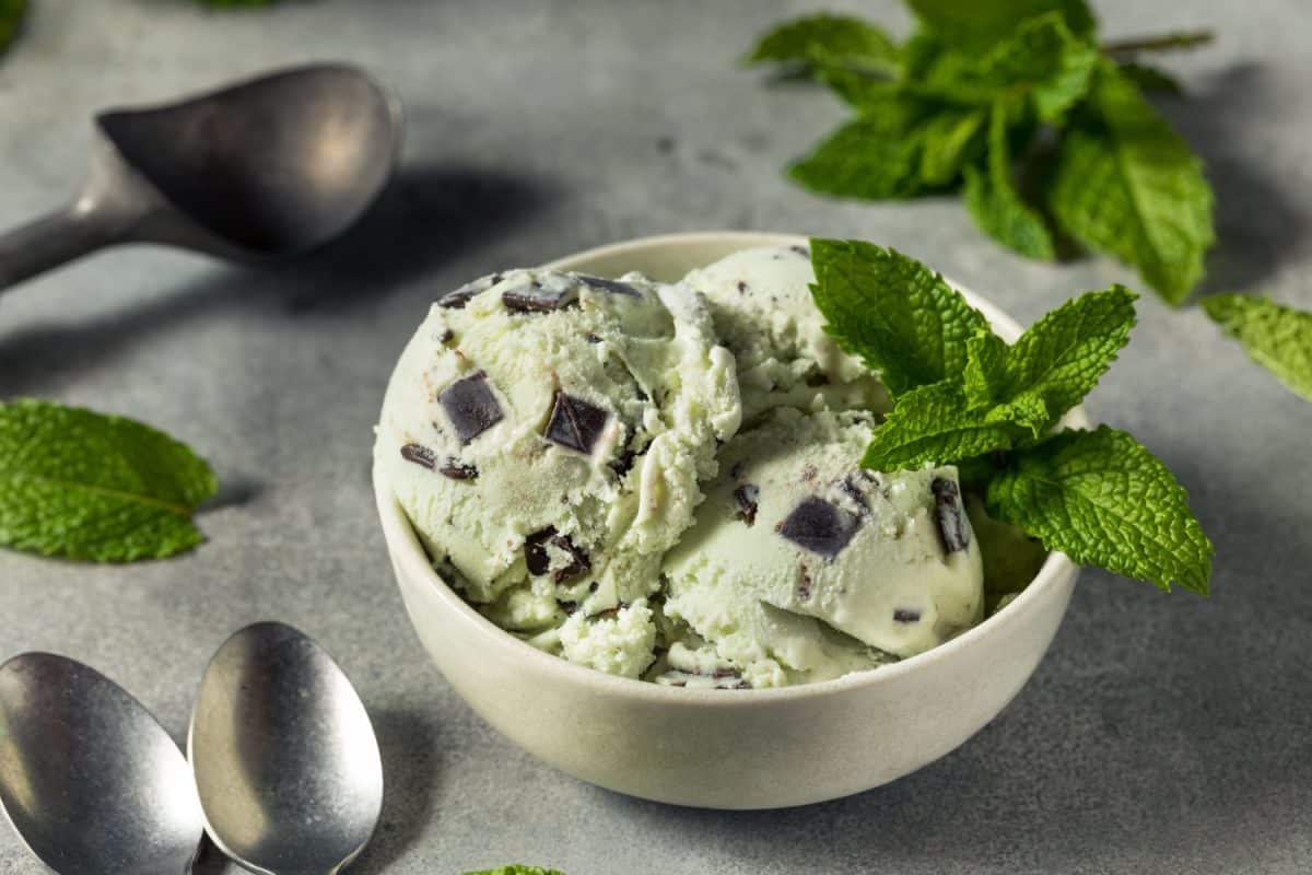 Homemade Green Mint Chocolate Chip Ice Cream in a Bowl