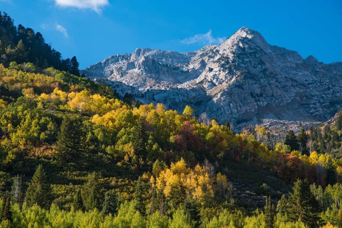 Granite mountain and autumn foliage. Wasatch Mtn. Range, American Fork, Ut., USA