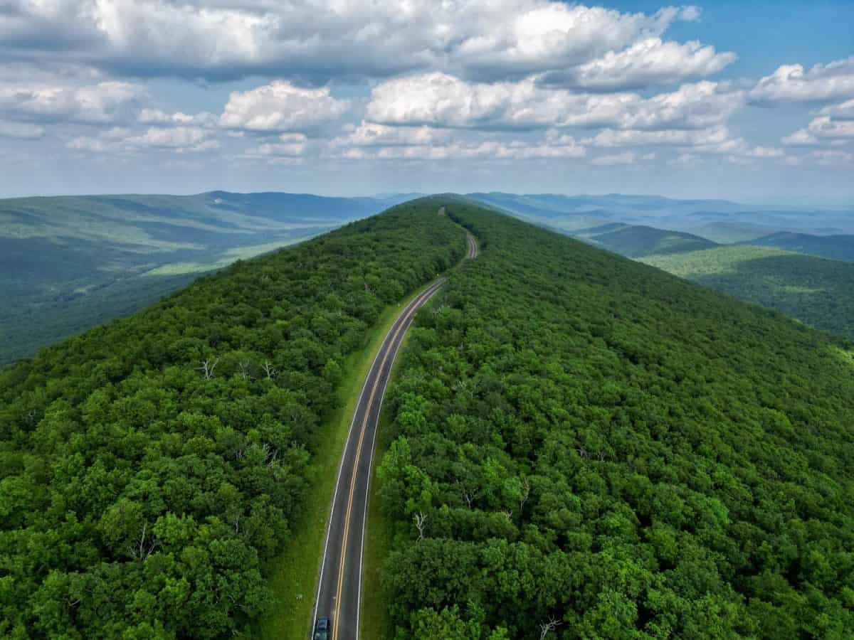 Winding road in the Arkansas Ouachita National Forest on Talimena Drive.