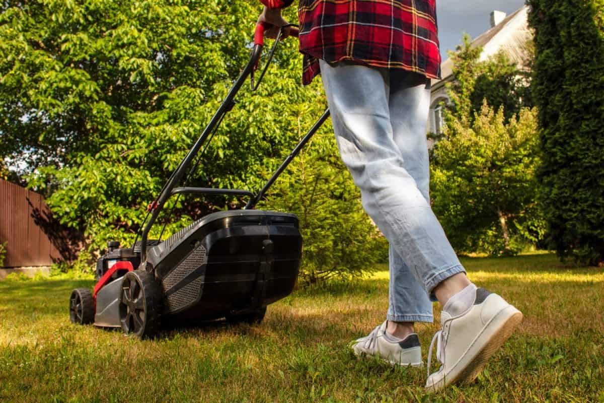 Concept of gardening, work, nature. Housework, gardening and country life. Home garden grass cutting woman mowing with lawn mower. Detail of lawn mower. Сutting grass in backyard. Sunny autumn day.