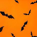 Tissue Paper Bats