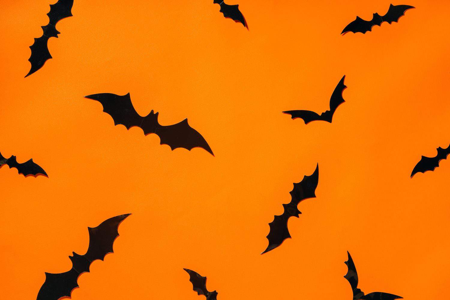 Tissue Paper Bats