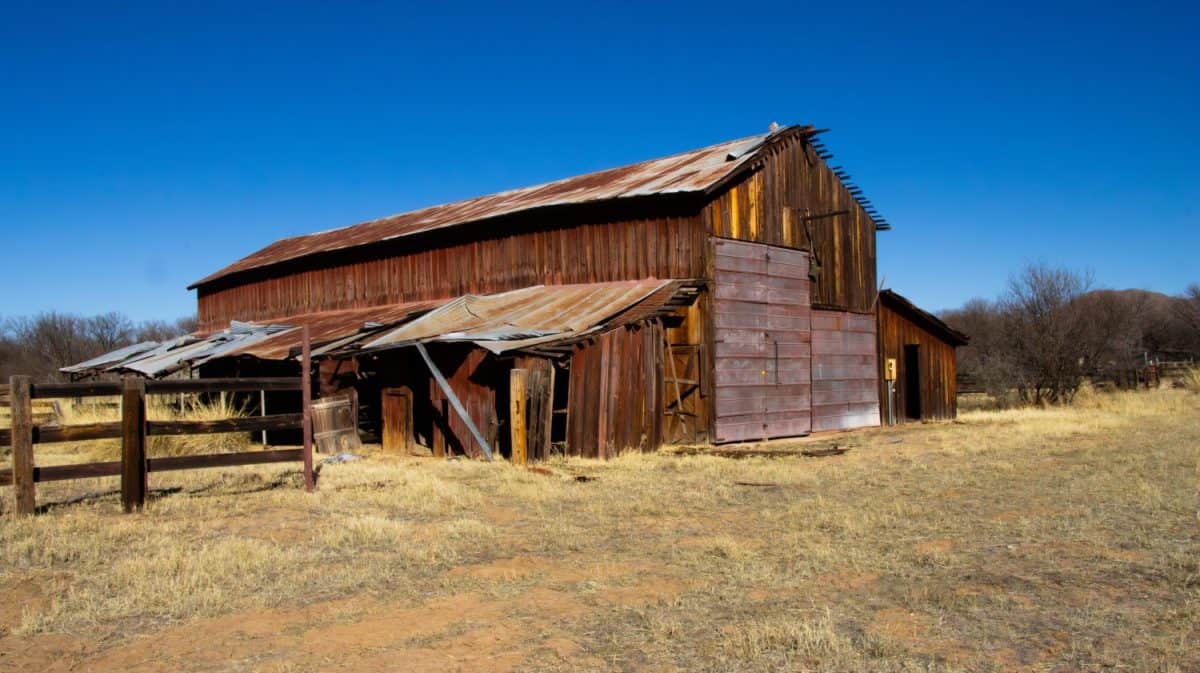 Arizona's Little Boquillas Ranch's shed near the towns of Fairbank, Tombstone, Fort Huachuca, Sierra Vista, and Benson, in February of 2024, Cochise County, dead trees in the AZ desert surrounding it.