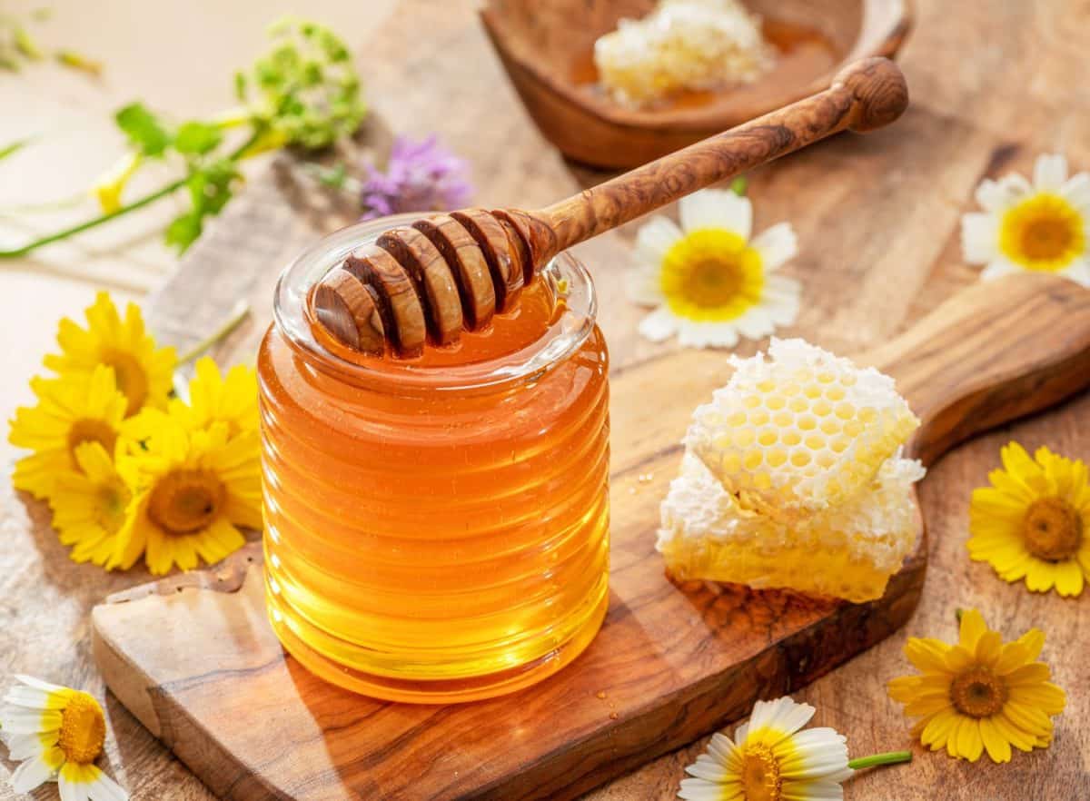 Natural organic honey in glass jar, honey dipper and honeycombs are near. Natural food background.