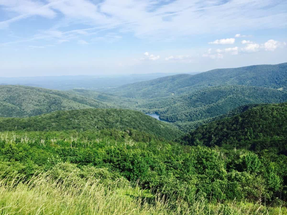 View from Old Rag Mountain in Shenandoah, VA