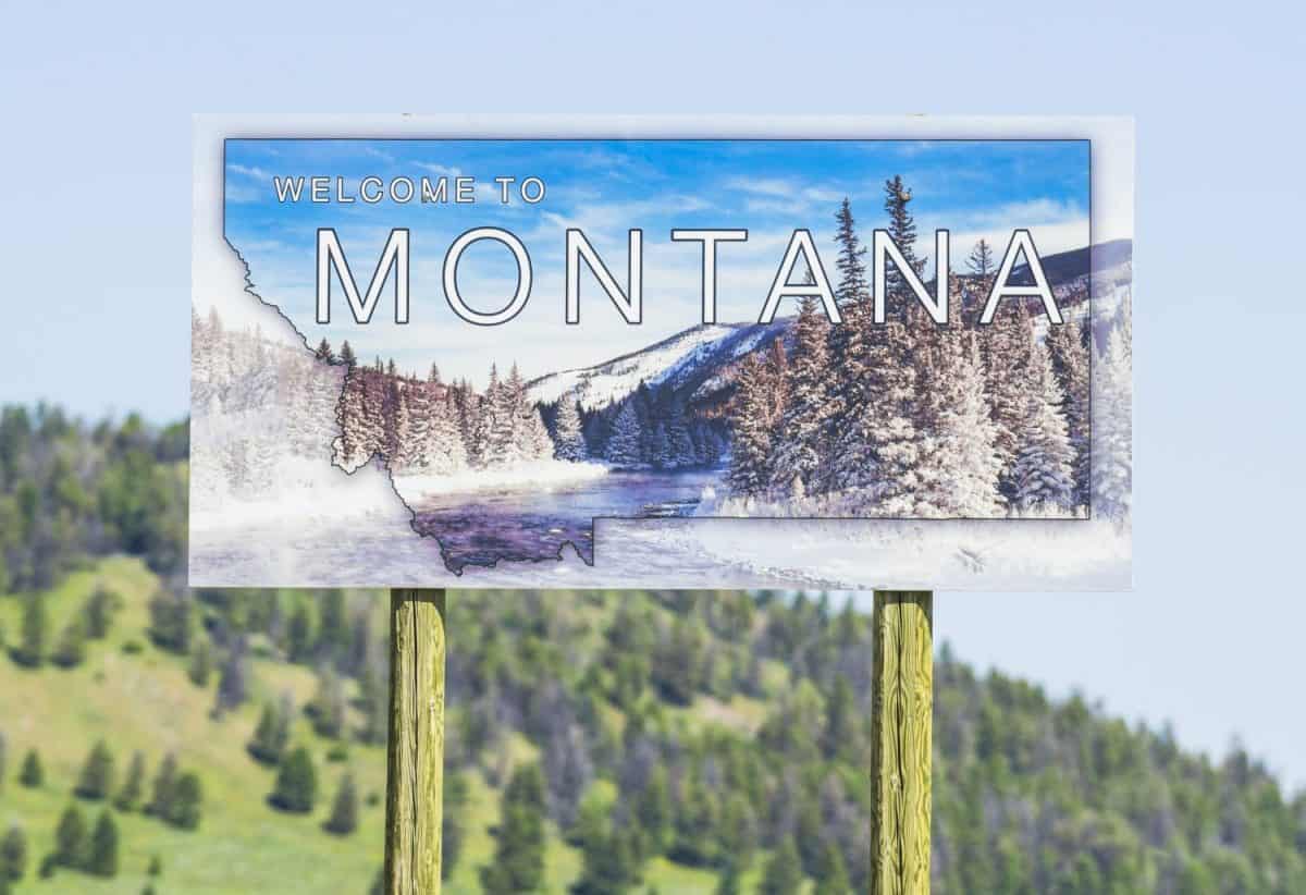 Montana state sign near by free way in summer.