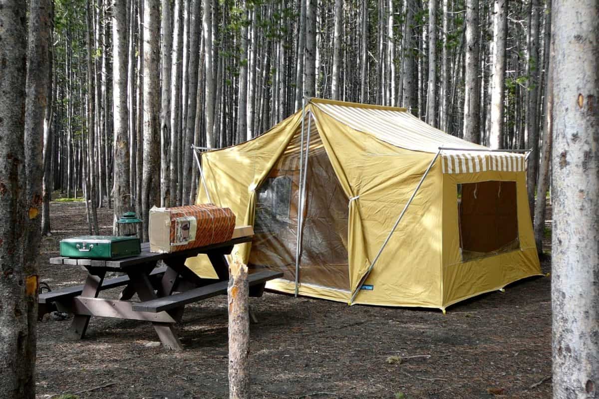 Campsite with Old-Fashioned Tent in Forest, Yellowstone National park