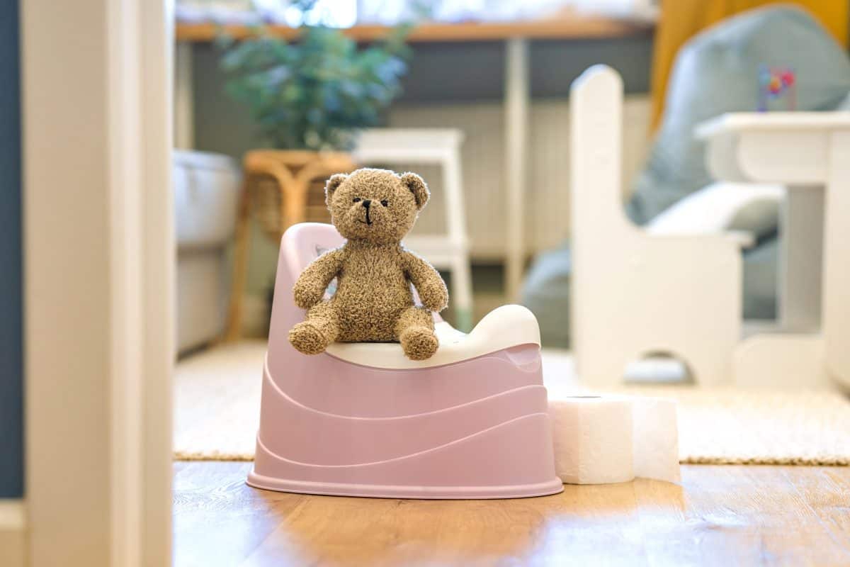 A toy bear sits on a baby potty in a room, the concept of potty training a child