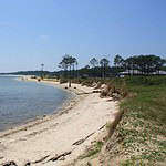 Dauphin Island