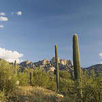 Corona de Tucson, Arizona