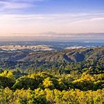 Los Altos Hills, California