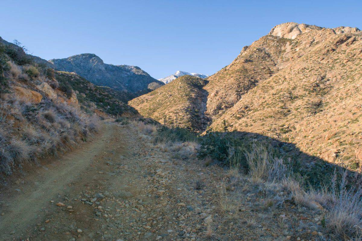 Trail leading to the top of Mount Graham near Thatcher, Arizona.