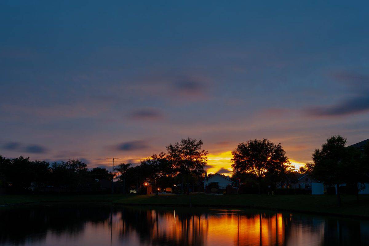 Sunset and pond in wedgefield florida