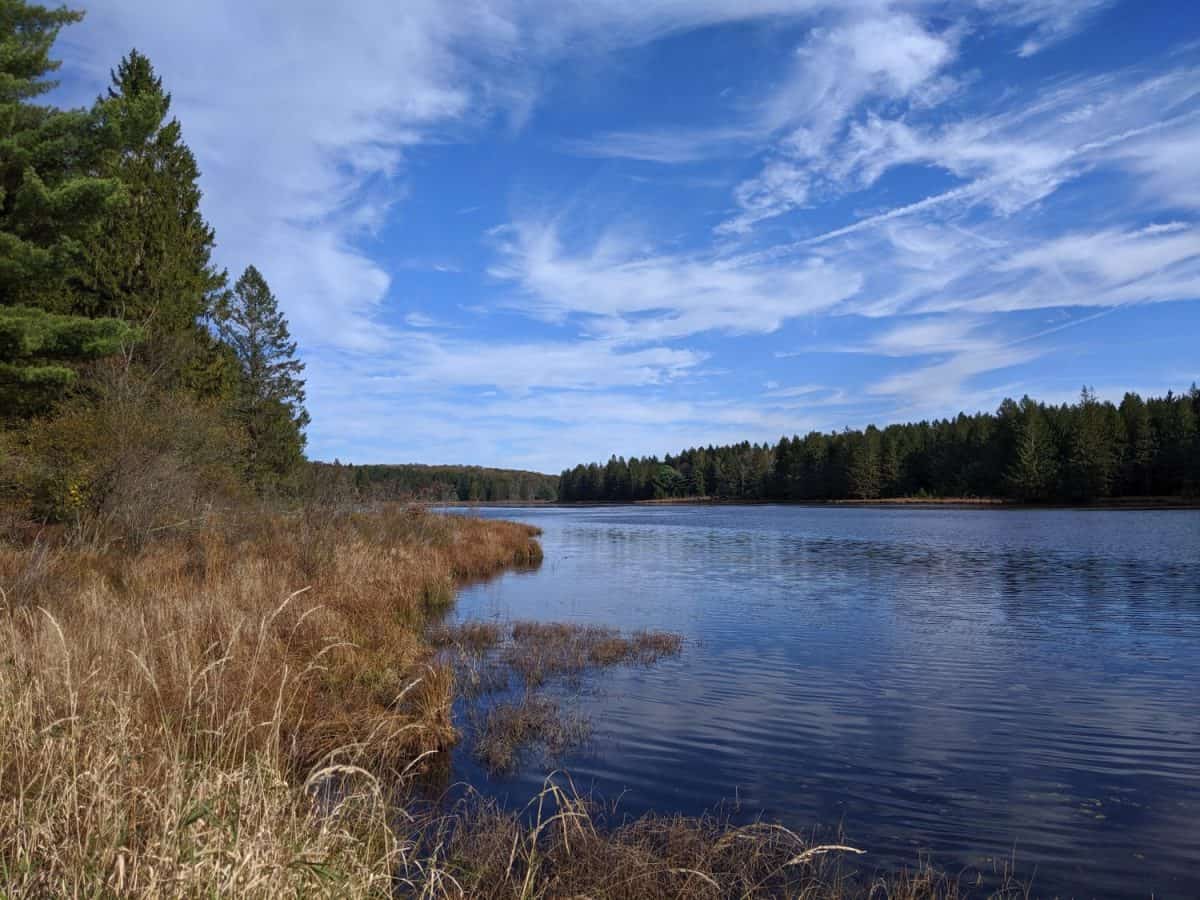 Beaver Meadows lake, Marienville PA