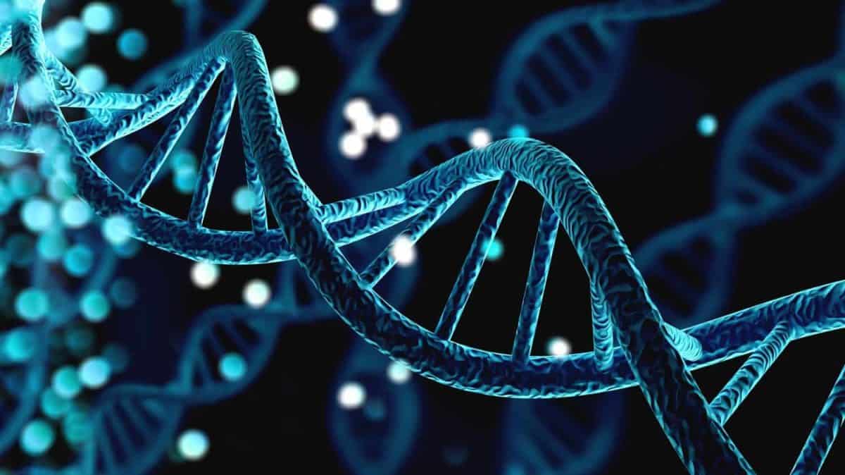 Blue helix human DNA structure