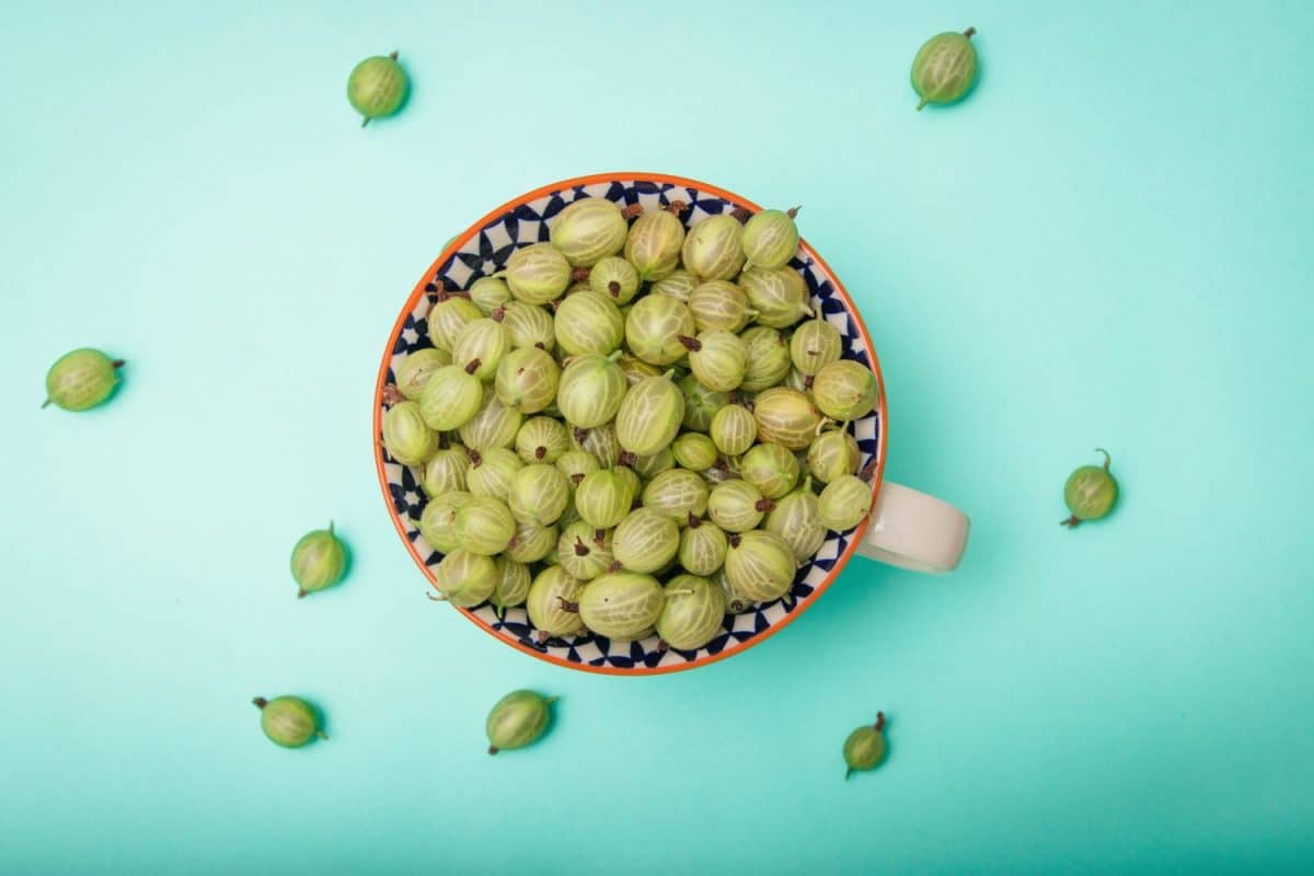 Fresh gooseberries in glass bowl on turquoise stone slate background. Top view.