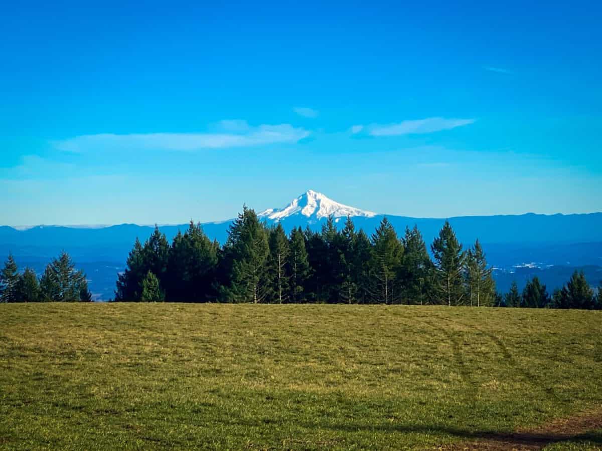 A viewpoint of beautiful Mt.Hood in the hills outside of Hillsboro, Oregon on a sunny day