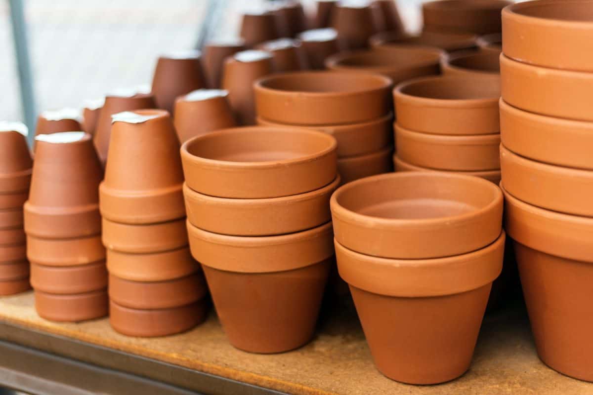 Stacked red clay pots for planting at sale in a garden center. Steps to grow mint indoors.