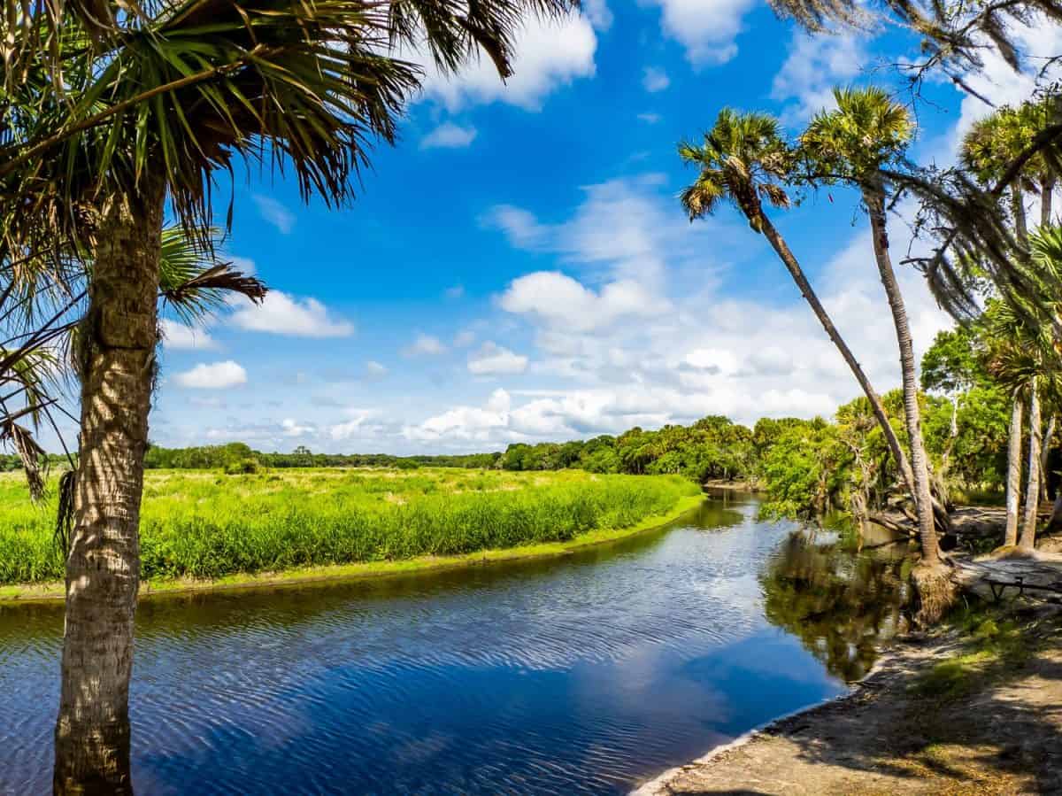 Myakka River at Fishermans Loop in Myakka River State Park in Sarasota Florida USA