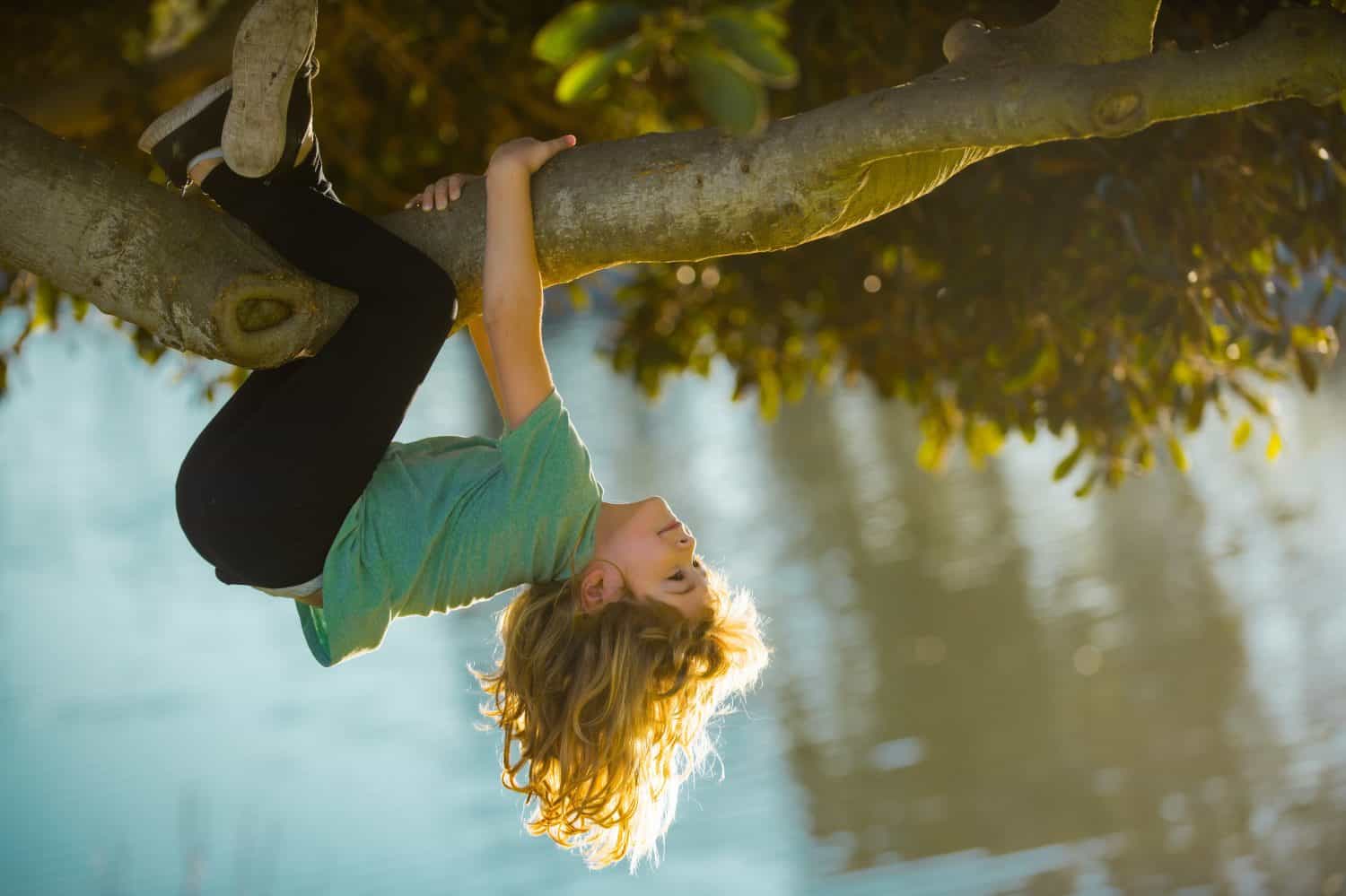 Climbing Trees