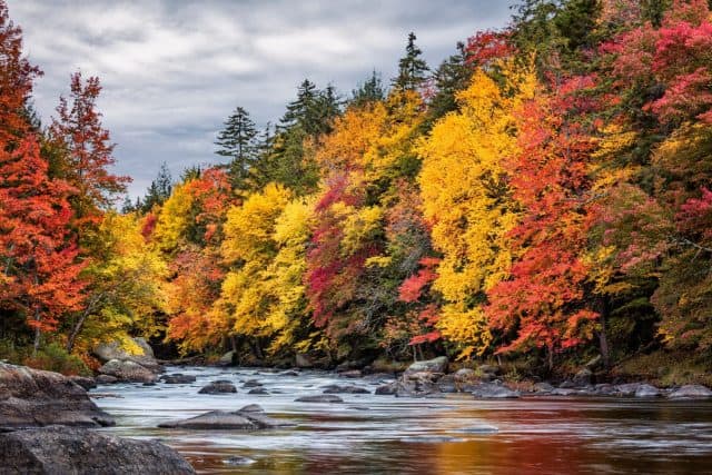 USA, New York, Adirondacks. Long Lake, autumn color along the Raquette River