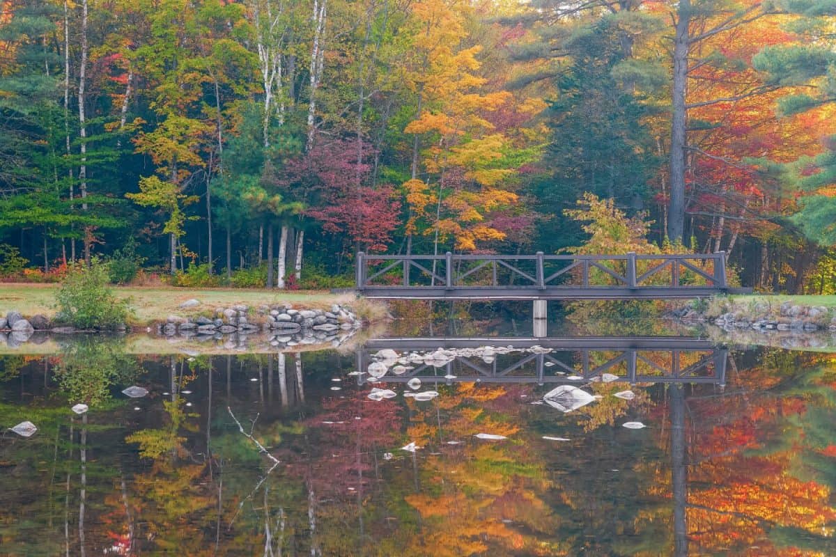 Warming pool in Moose Brook State Park. Gorham. New Hampshire