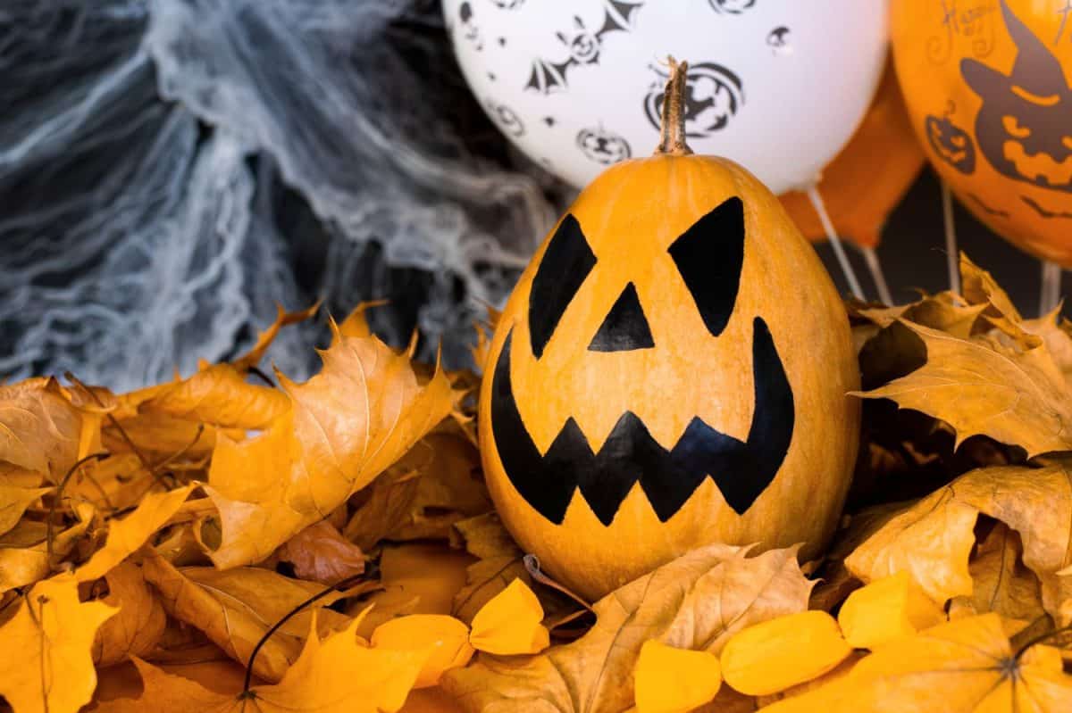 Halloween's holiday attributes. Lantern carved from pumpkin known as Jack-o-lantern on a black background with spider webs, autumn leaves and balloons. Trick or treat.