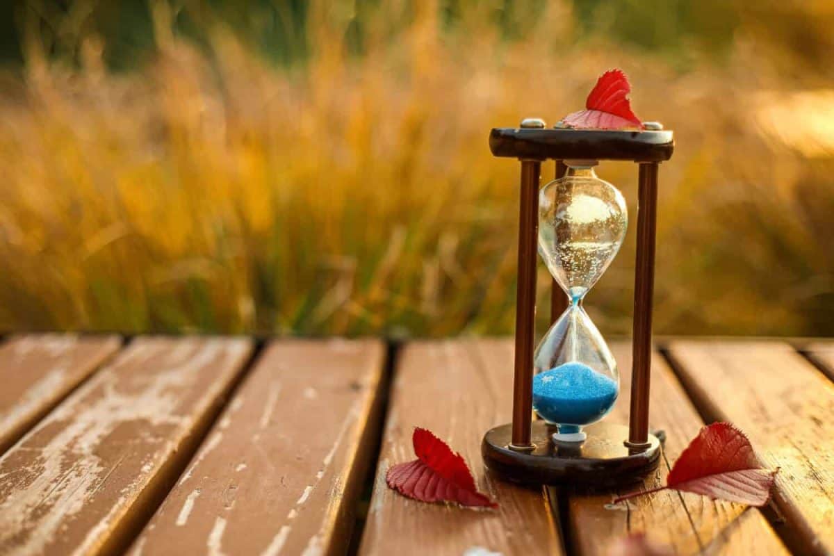 Hourglass with autumn leaves on bench in park, closeup