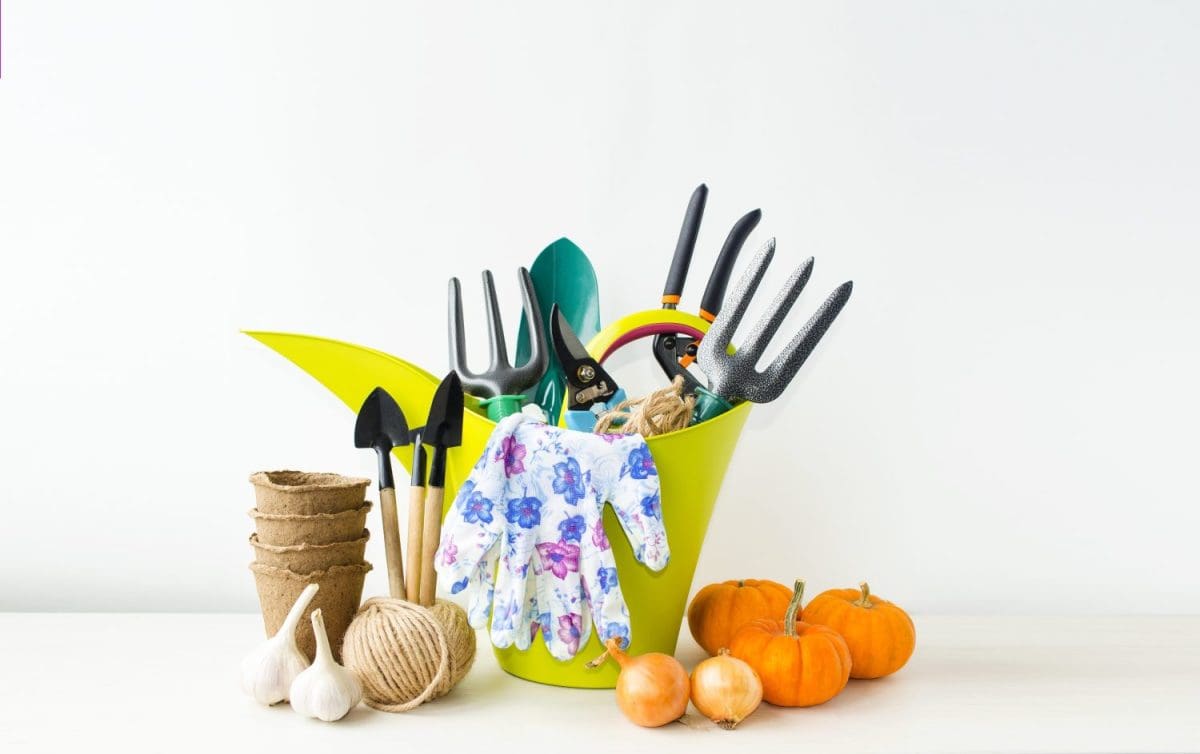 On a light background on the table are gardening tools: a spatula, a rake, a green watering can, gloves, pruning shears, succulent vegetables, and a peat pot. Concept of seasonal work in the garden.