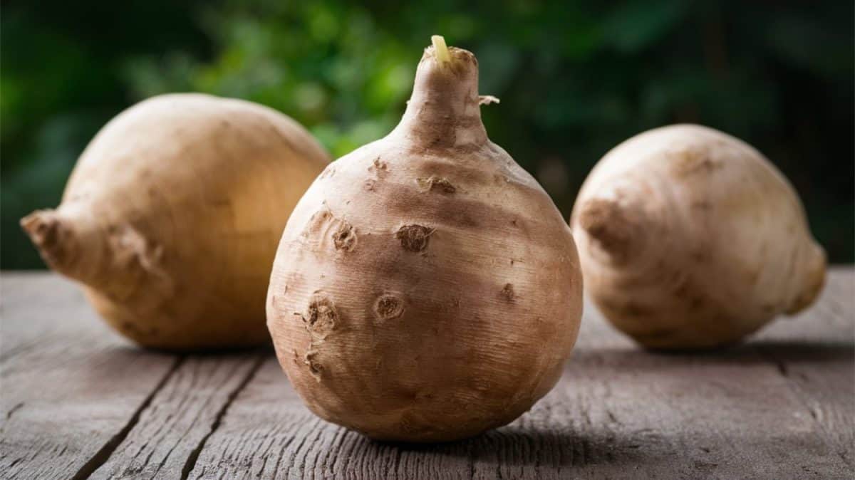 Celeriac (Celery Root) - Knobby root vegetable with a celery-like flavor, often mashed or used in soups.