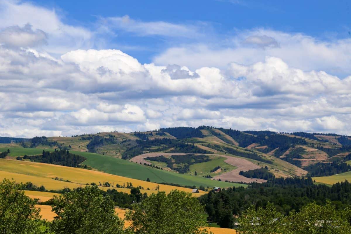 Farmland and the Blue Mountains in Walla Walla, Washington wine country