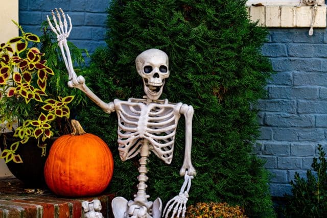 Halloween background. Halloween pumpkin and skeleton for decorated house. Scary Decorated at front yard of a American home. Trick or treat. Halloween background. Autumn holiday of Halloween.