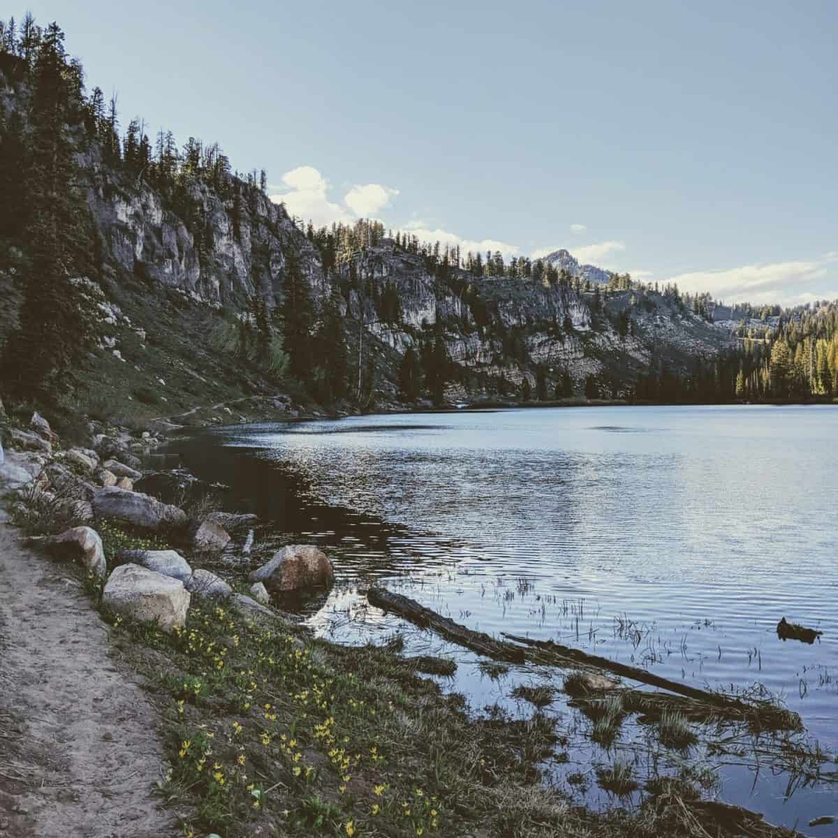 Summer Views of Tony Grove Lake Utah Cache County