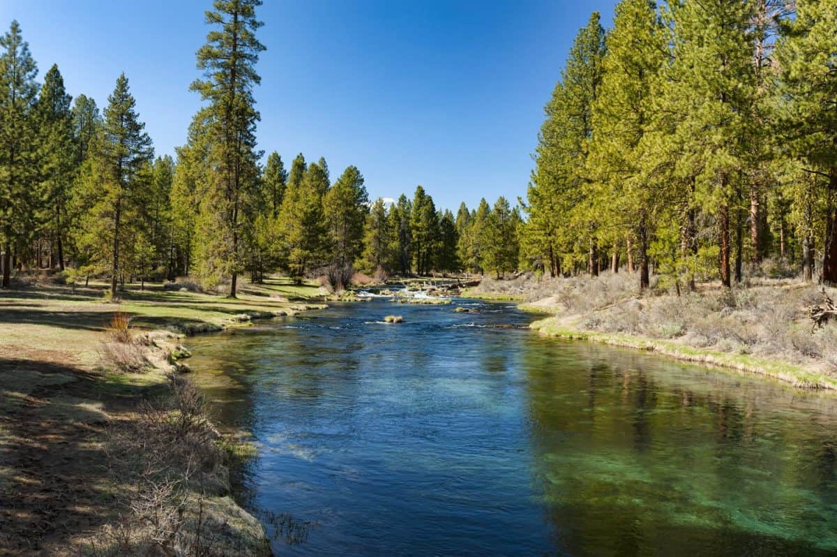 Spring Creek flows through Collier Memorial Park near Chiloquin, Oregon in the high desert country of the Klamath Basin.