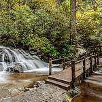 Laurel Falls