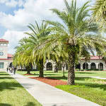 College: Saint Leo University