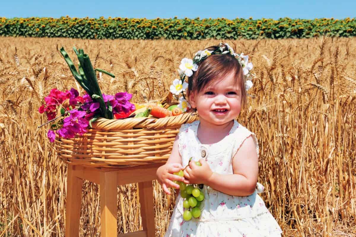 Young toddler Jewish girl (female age 01) with basket of the first fruits during the Jewish holiday, Shavuot in Israel. real people Copy space