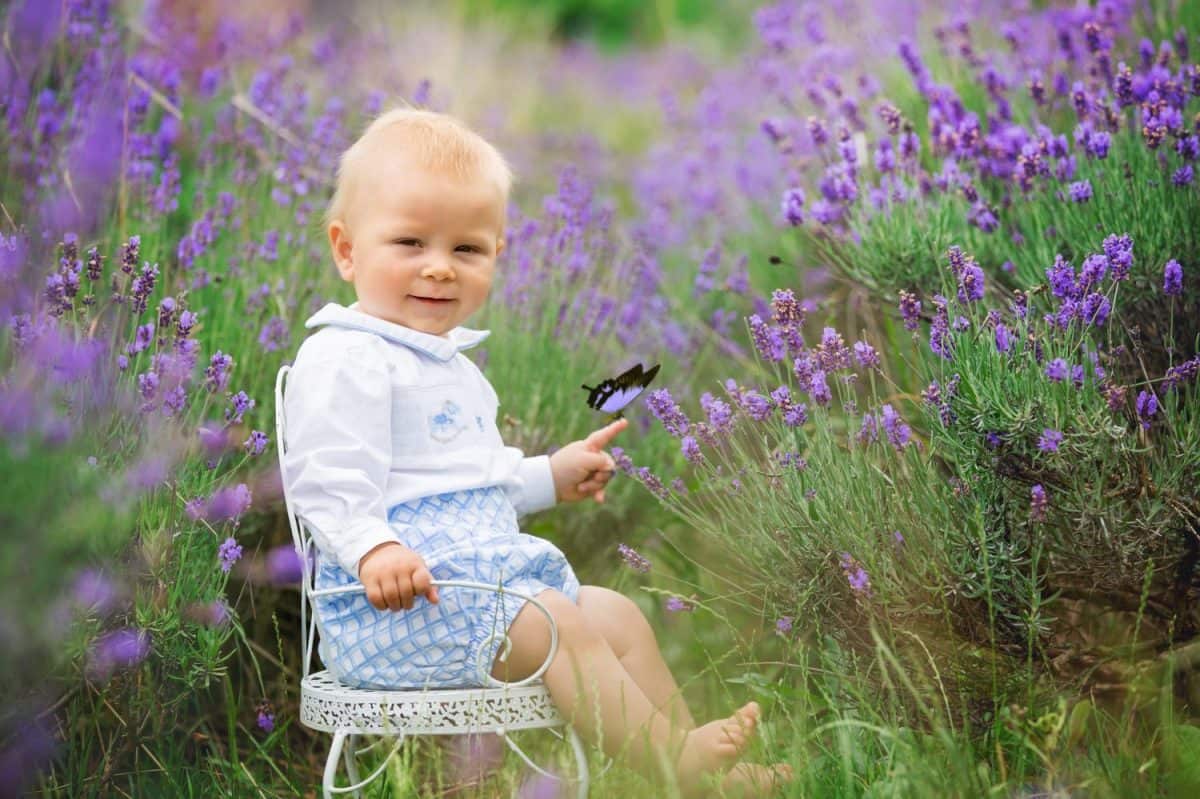 Happy smiling baby boy, sitting on vintage chair in lavender summer field