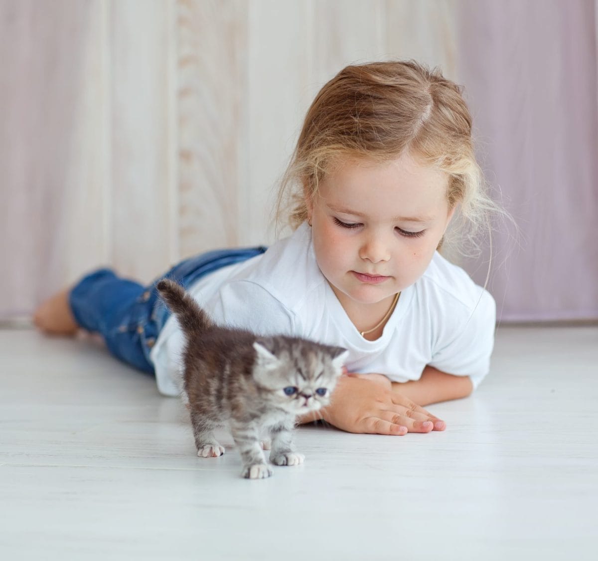 funny little girl playing with kitten